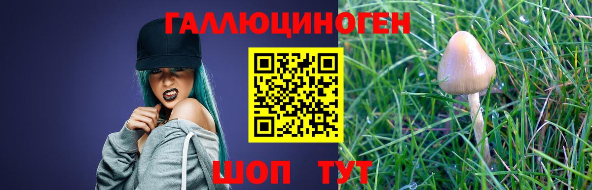 Галлюциногенные грибы MAGIC MUSHROOMS Славгород